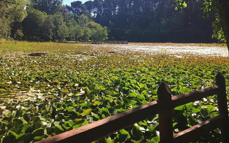 14 Mejores Parques Y Paisajes Naturales En Valdivia Actualizado En