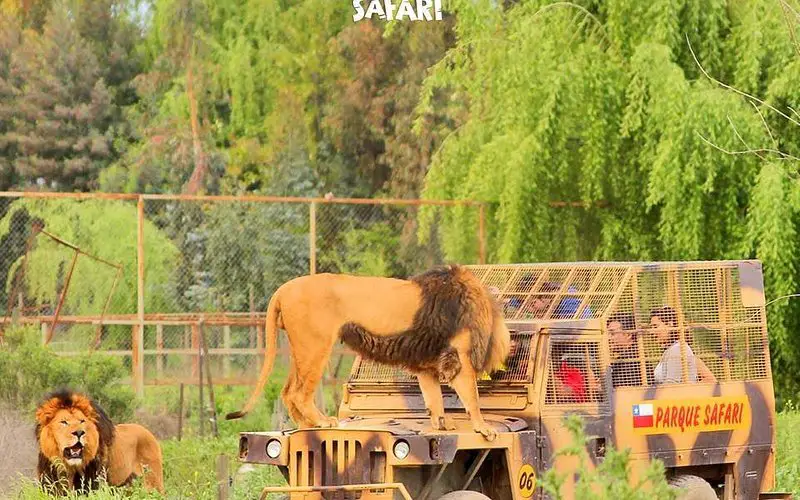 Parque Safari